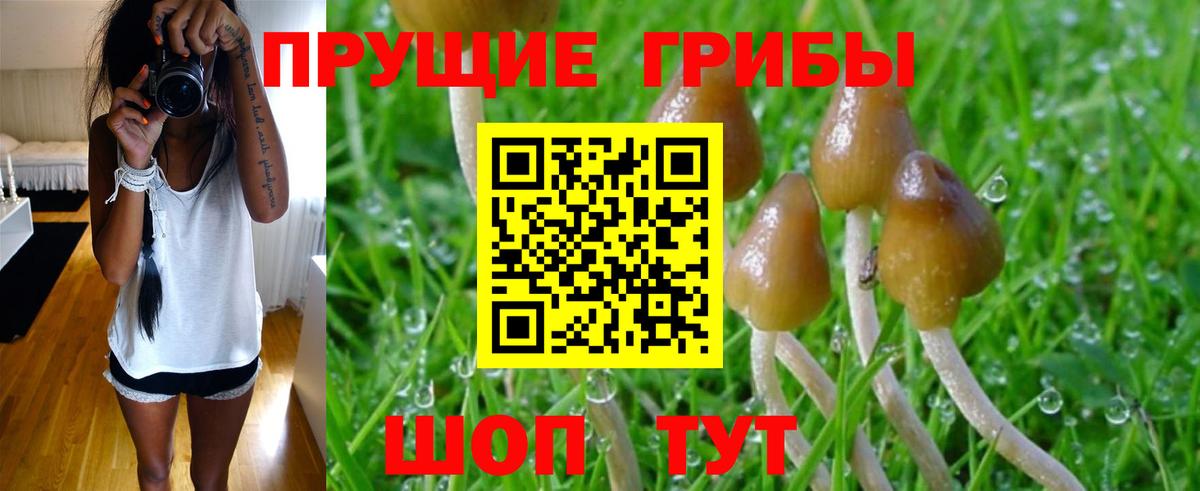 Псилоцибиновые грибы GOLDEN TEACHER  Вход с VPN  Белореченск 
